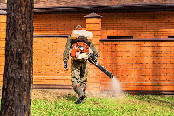 Trusted Bed Bug Control service in Oak Grove, AL - Nex Pest Control